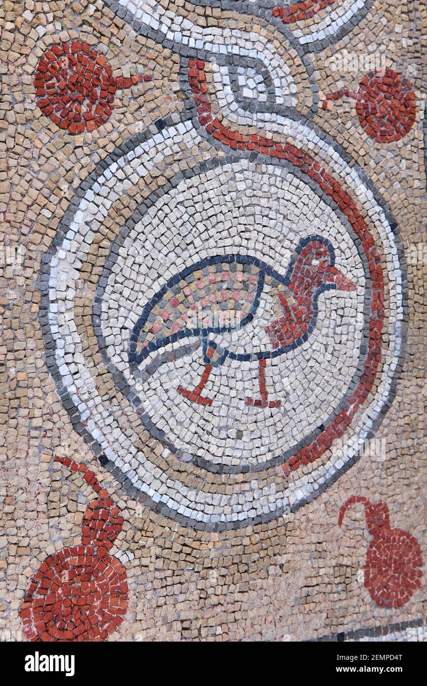 Sevastopol, Crimea - 29 gennaio 2021: Antico mosaico greco raffigurante un uccello - un simbolo dell'anima - nella chiesa paleocristiana di Chersonesos Foto Stock