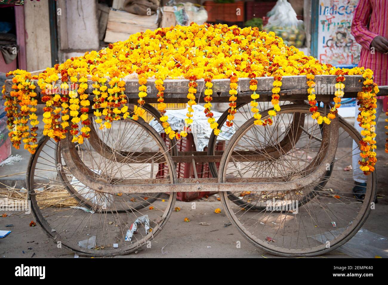 Un carrello coperto di fiori Marigold in vendita per il festival Diwali, per le strade di Nuova Delhi, India Foto Stock