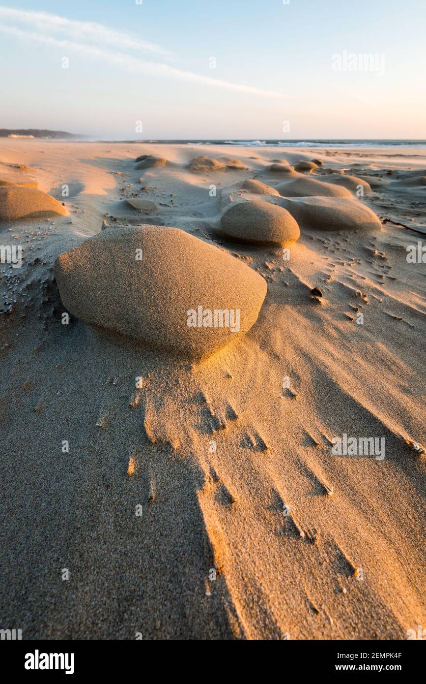 Venti alti che soffiano attraverso la spiaggia creano forme di sabbia lungo La costa dell'Oregon adiacente all'Oceano Pacifico Foto Stock