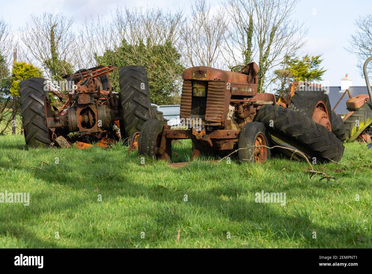 Rottami di ruggine dei trattori Massey Ferguson nel settore agricolo Foto Stock