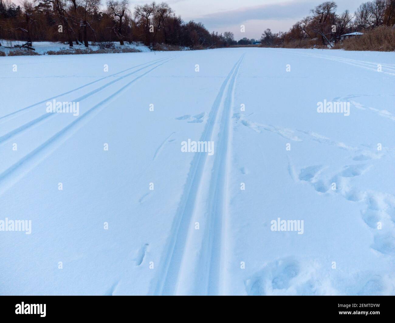 Piste da sci di fondo selvatiche sulla neve che vanno in avanti in luce blu sera. Sport attivo ricreazione in inverno Foto Stock
