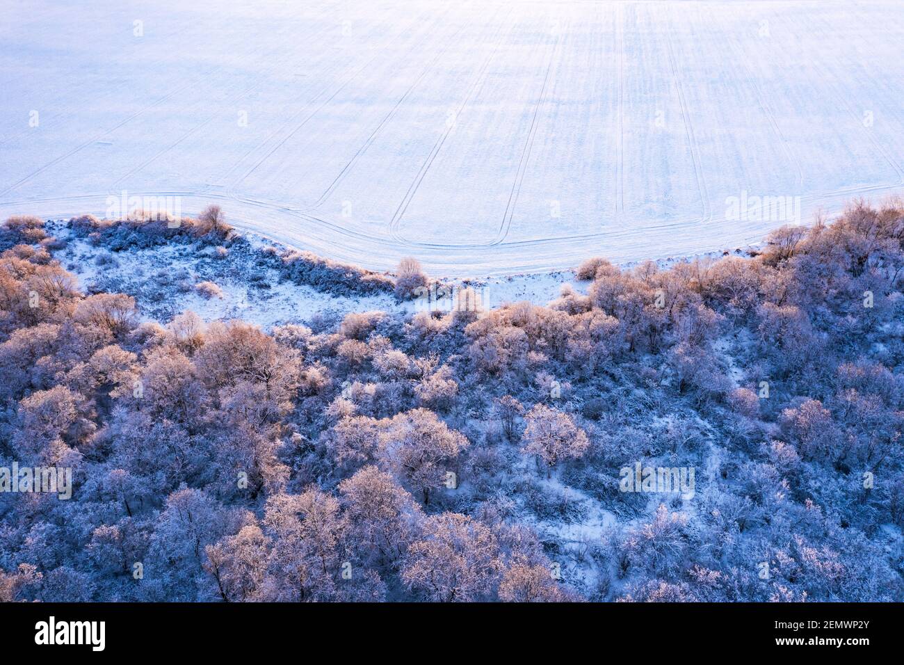 La cima del drone aereo vola sopra la foresta e il campo invernali congelati. Alberi ricoperti di neve e gelo. Fotografia di paesaggio Foto Stock