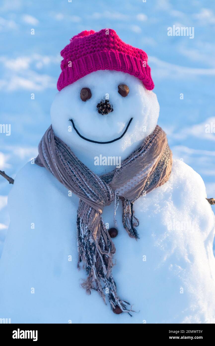 Primo piano di un pupazzo di neve dall'aspetto felice che indossa un cappello rosso e una sciarpa. Foto Stock