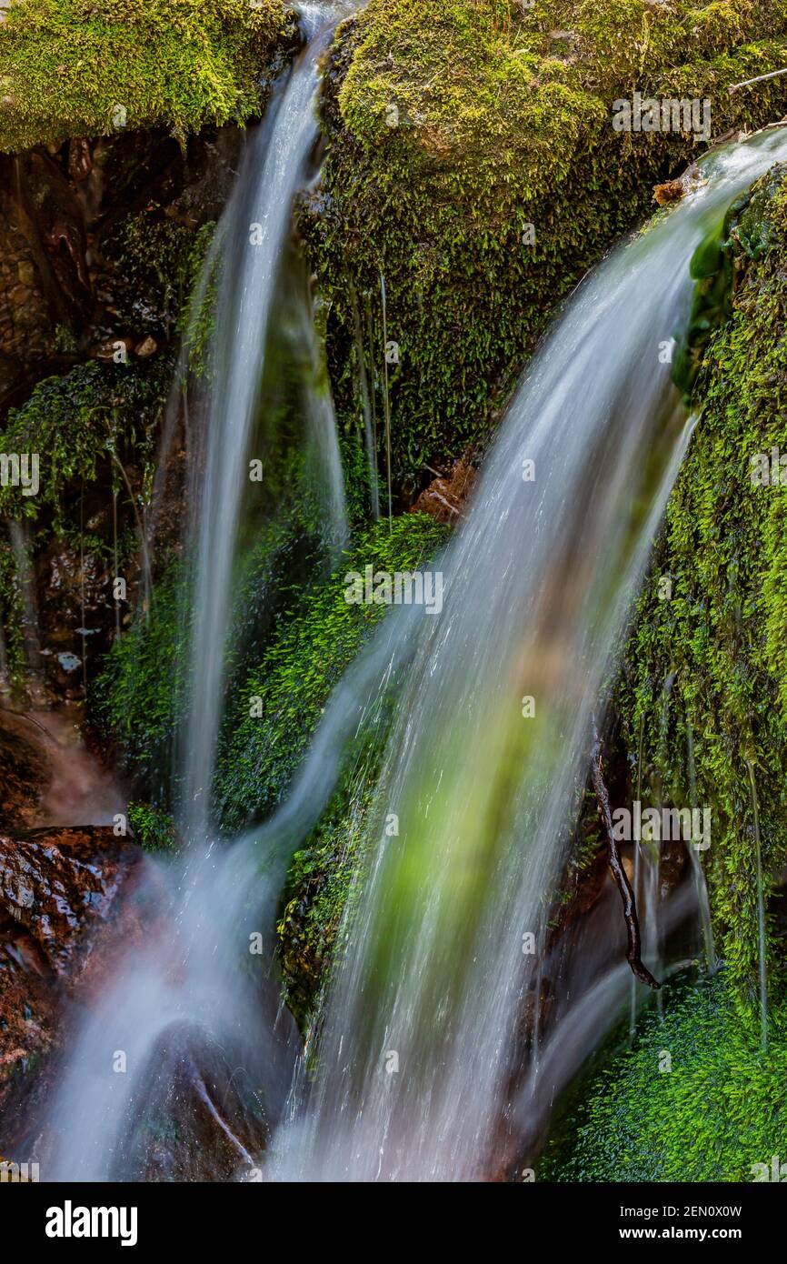 Piccola cascata lungo un ruscello di montagna nel Miller Peak Wilderness delle Huachuca Mountains, Coronado National Forest, Arizona, USA Foto Stock