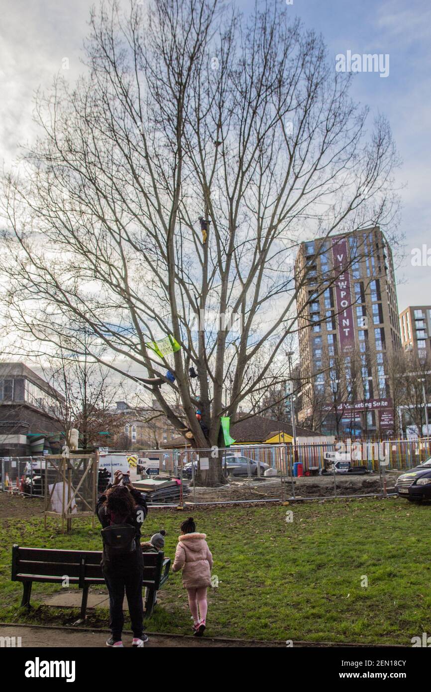 Londra, Regno Unito. 23 febbraio 2021. I bambini della zona guardano all'attivista ambientale Marcus Carambola, 32 anni, che arrampica su un albero nei Giardini York di Wandsworth, Battersea. Sta per controllare lo stato di un nido d'uccello. L'albero era dovuto tagliare giù per fare il posto ad un nuovo cavo elettrico, parte del programma locale di rigenerazione dell'alloggiamento dal consiglio e dalle case di Taylor Wimpey. Di solito la presenza di nidi d'uccello attivi è motivo sufficiente per fermare o ritardare le fellings d'albero. Foto Stock