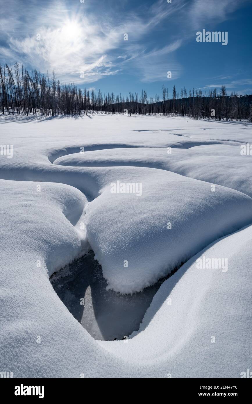 Park Creek in inverno, Sawtooth Mountains, Idaho. Foto Stock