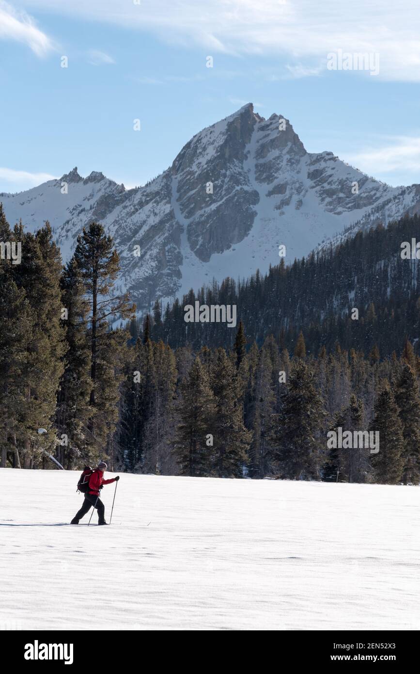 Sci di fondo nella zona di Park Creek, Sawtooth Mountains, Idaho. Foto Stock