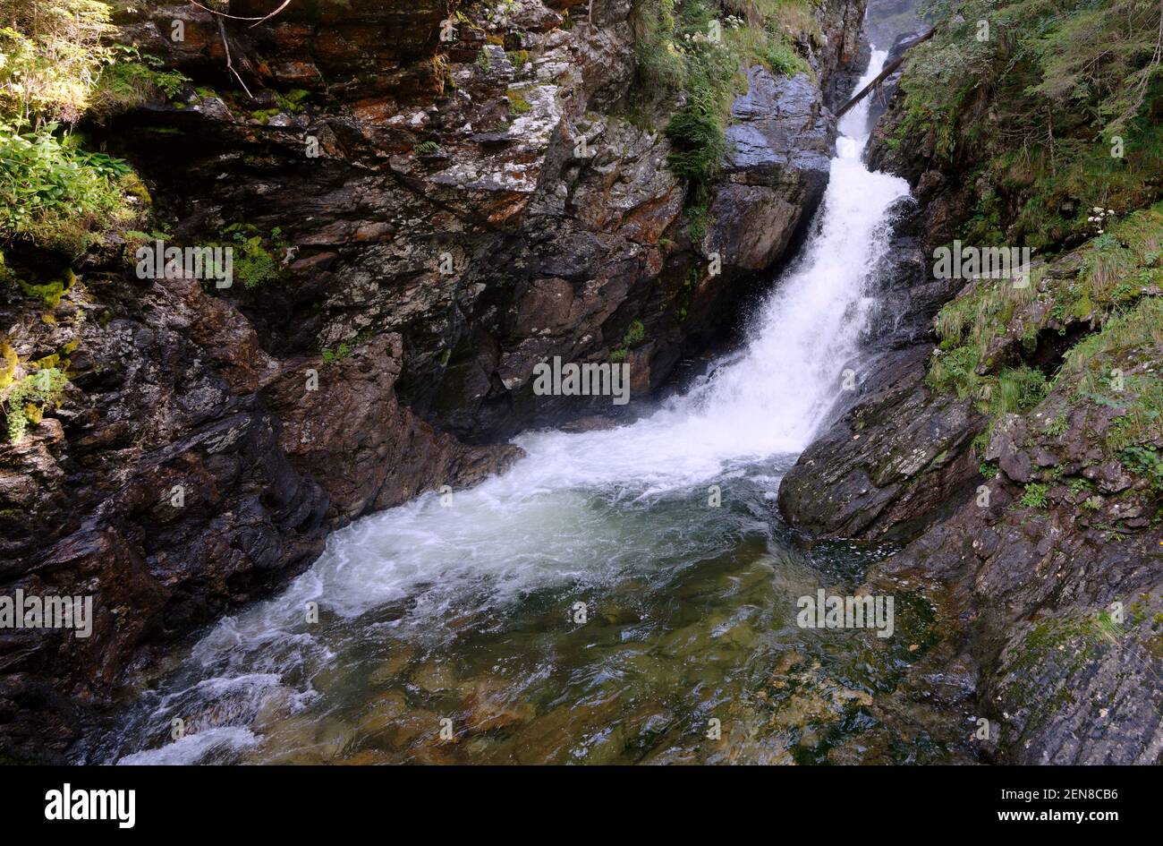 Vista panoramica di una cascata nella foresta Foto Stock