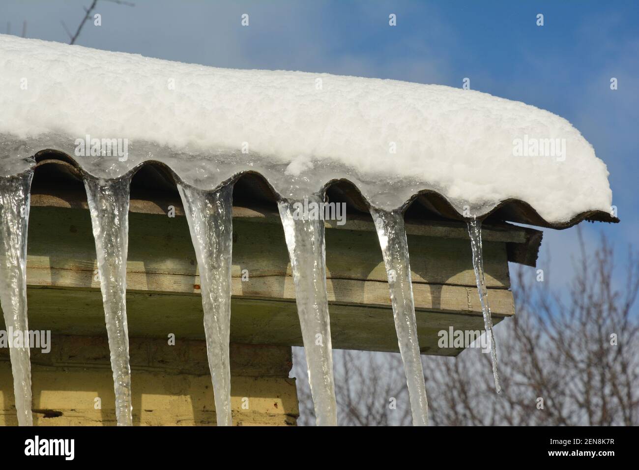 Grandi icicles, scintillanti al sole in inverno, sono appesi dal tetto sono come decorazioni del tetto. Belle iciclette lungo il tetto. Foto Stock