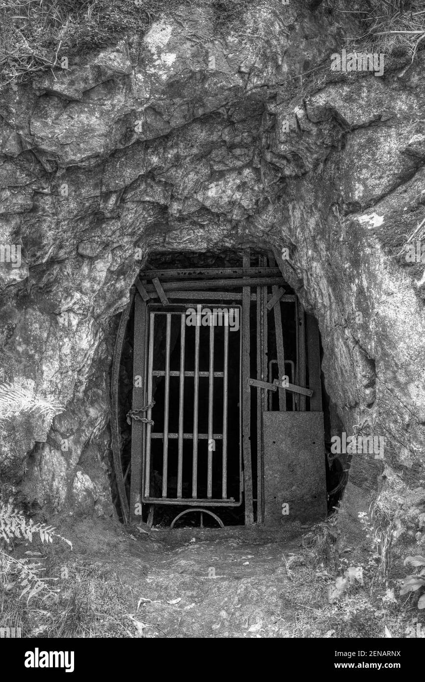 Immagine in bianco e nero di un vecchio tunnel minerario sigillato con barre metalliche. Fotografato alla miniera Crown, Karangahake Gorge, Nuova Zelanda Foto Stock