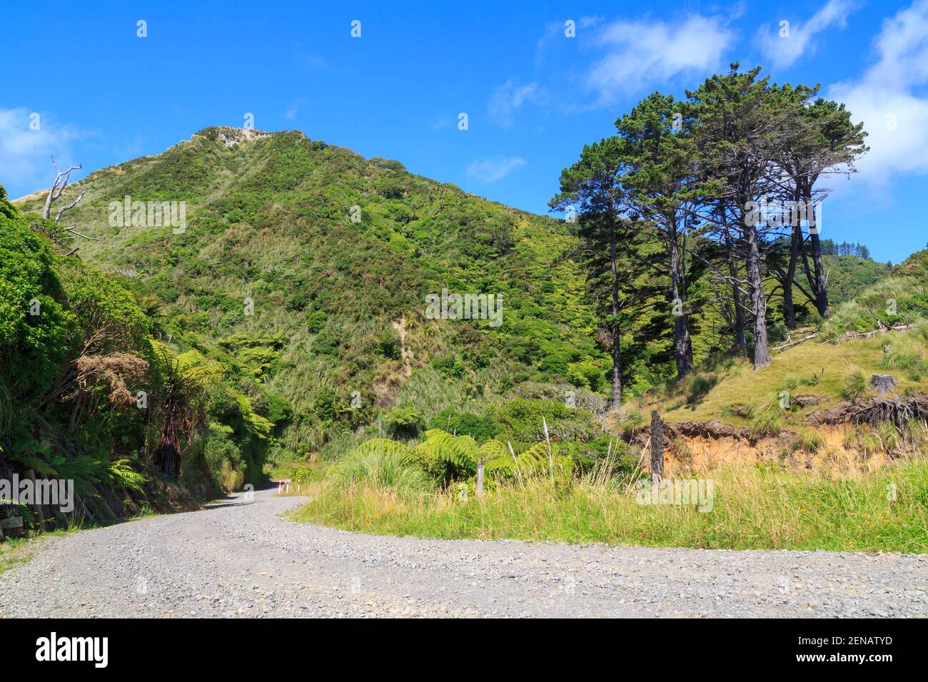 Una strada di ghiaia si snoda attraverso la campagna collinosa della Nuova Zelanda Foto Stock