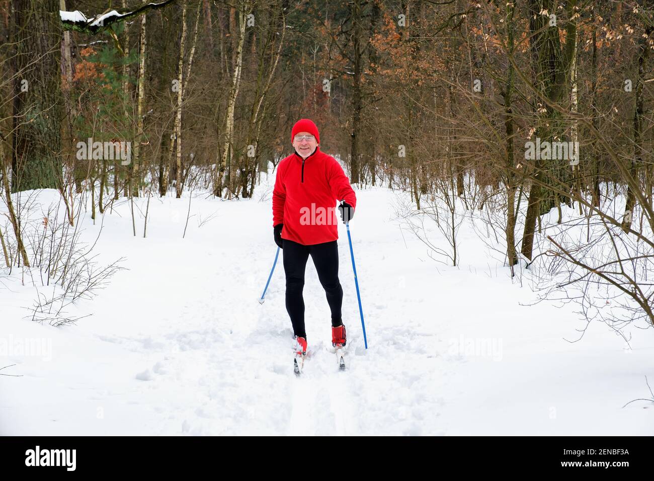L'uomo va sci di fondo in inverno nella foresta Foto Stock