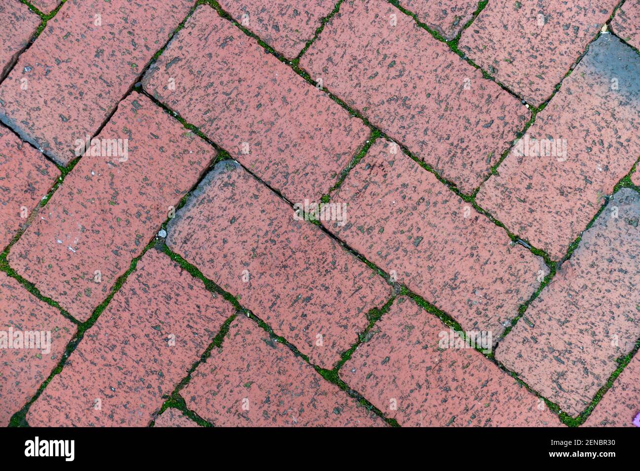 Pavimentazione di block staing.flooring disposta in un disegno di spina di pesce, Foto Stock