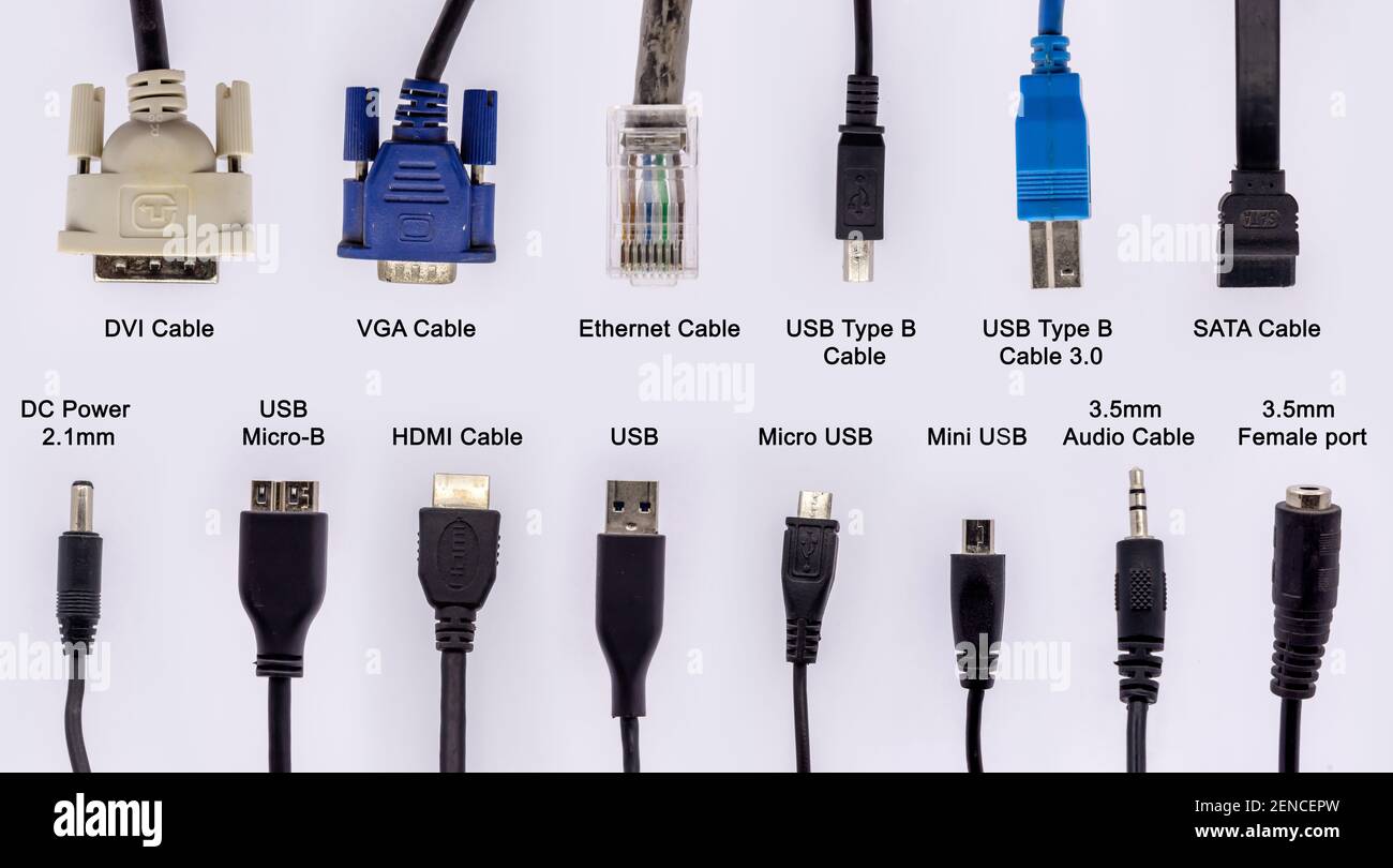 cavi per computer con diversi connettori per la connessione di rete e dati isolati su sfondo bianco. Foto Stock