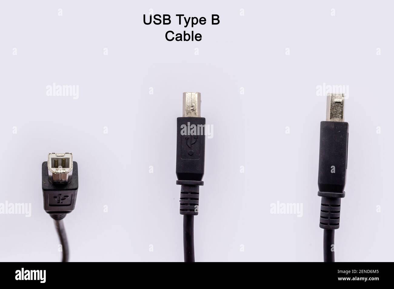 Cavo USB tipo B maschio connettore adattatore USB SuperSpeed connettore  maschio per stampante, scanner, - Nero. Isolato su sfondo bianco Foto stock  - Alamy