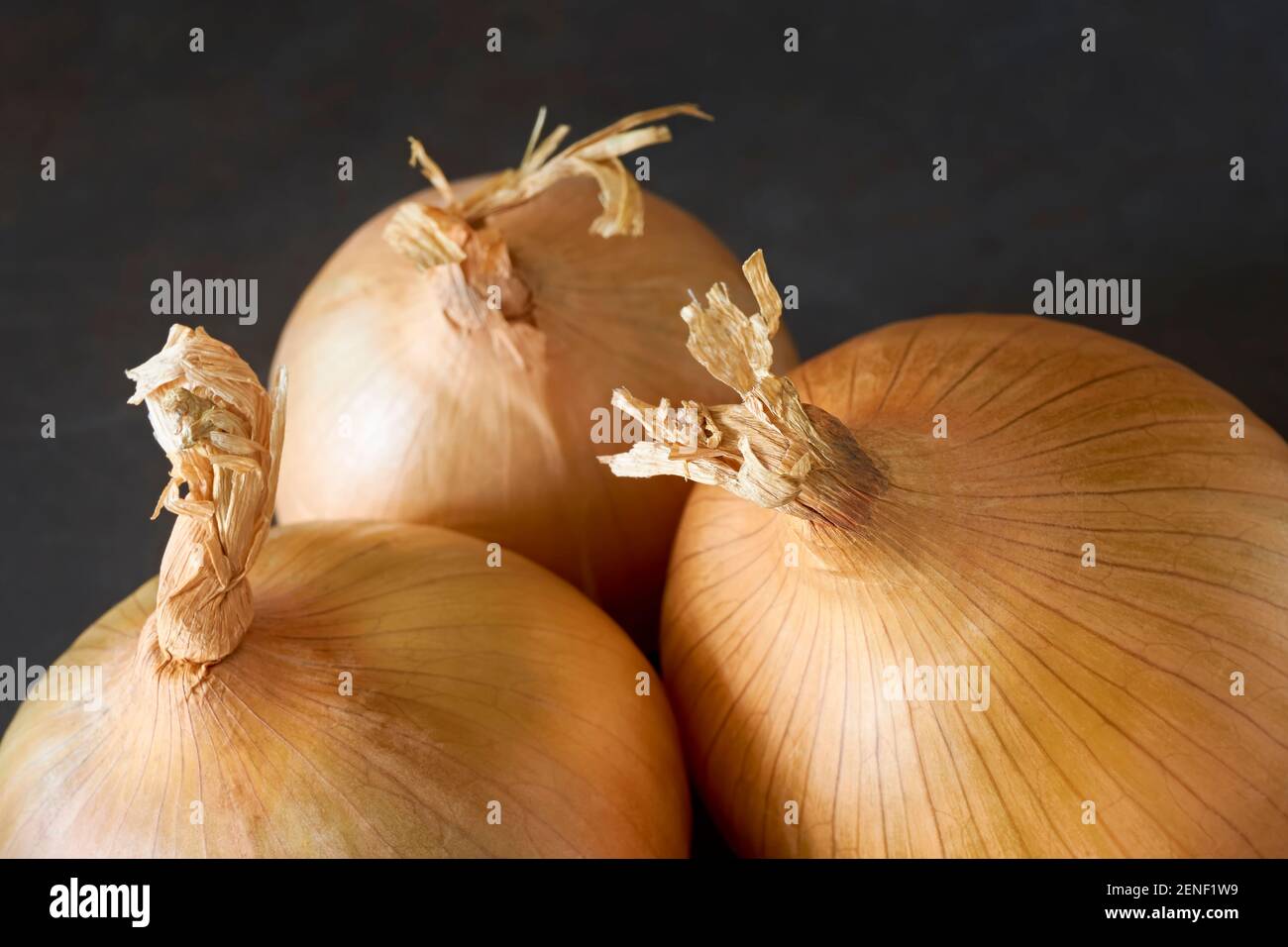 Un gruppo di bulbi a cipolla bianca biologica con guscio dorato. Primo piano su sfondo scuro. Foto Stock