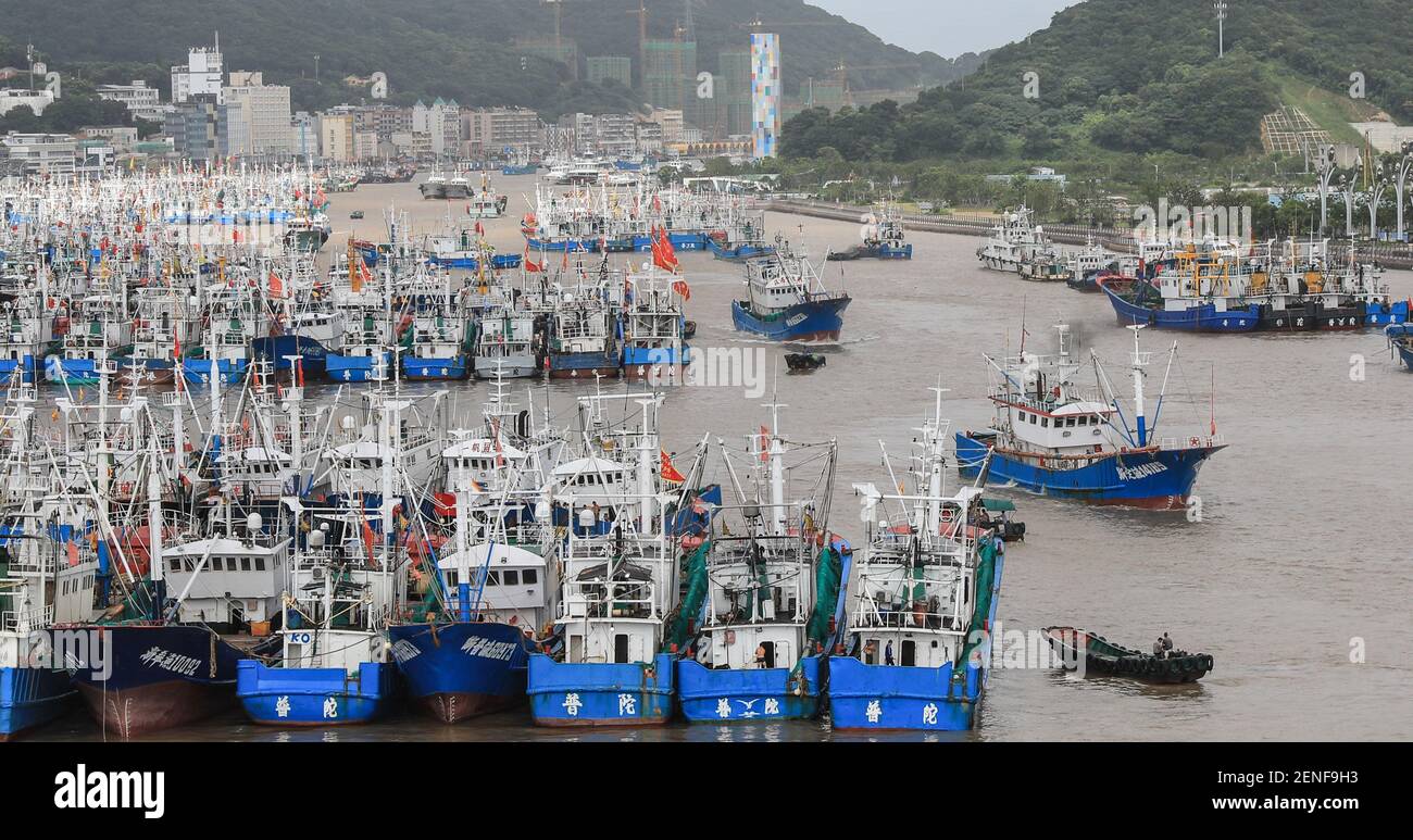 Le barche da pesca sono attraccate al porto di pesca di Shenjiamen in preparazione del tifone Lekima, il nono tifone dell'anno, nella città di Zhoushan, Ningbo, nella provincia di Zhejiang della Cina orientale, l'8 agosto 2019. La Cina il giovedì (8 agosto 2019) ha emesso un allarme giallo come Typhoon Lekima, il nono dell'anno, è previsto di fare la caduta nelle zone costiere della provincia di Zhejiang della Cina orientale Sabato, portando grandi precipitazioni. Lekima si è rafforzata in un super tifone il mercoledì sera e si prevede che sarà declassato quando atterra a Zhejiang, secondo il Centro Meteorologico Nazionale. Il po Foto Stock