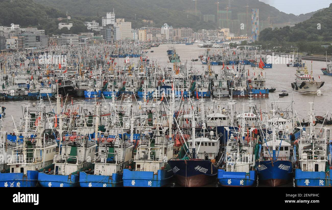 Le barche da pesca sono attraccate al porto di pesca di Shenjiamen in preparazione del tifone Lekima, il nono tifone dell'anno, nella città di Zhoushan, Ningbo, nella provincia di Zhejiang della Cina orientale, l'8 agosto 2019. La Cina il giovedì (8 agosto 2019) ha emesso un allarme giallo come Typhoon Lekima, il nono dell'anno, è previsto di fare la caduta nelle zone costiere della provincia di Zhejiang della Cina orientale Sabato, portando grandi precipitazioni. Lekima si è rafforzata in un super tifone il mercoledì sera e si prevede che sarà declassato quando atterra a Zhejiang, secondo il Centro Meteorologico Nazionale. Il po Foto Stock