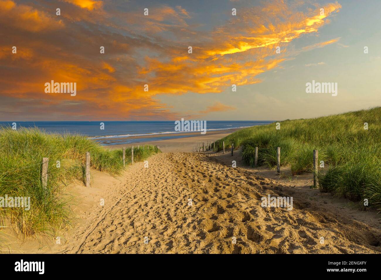 Alba Mare del Nord spiaggia costa olandese con percorso di sabbia con pali di recinzione e filo spinato come un ingresso spiaggia da il mare duna giù con sfondo arancione Foto Stock