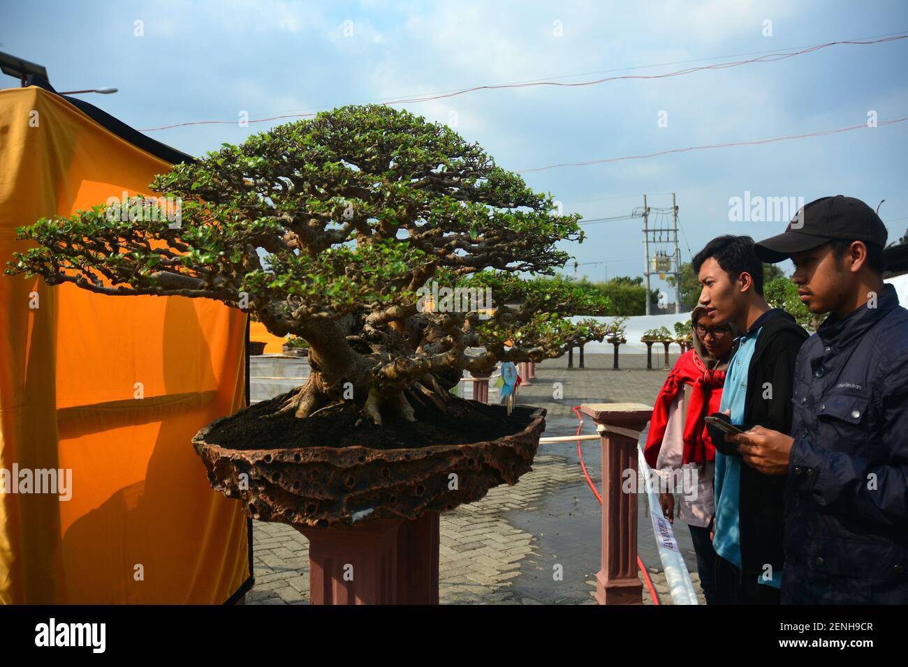 I visitatori possono vedere gli impianti nella sede del concorso Bonsai tenutosi a Jember, East Java, Indonesia, mercoledì 21 agosto 2019. Nel concorso artistico, le piante nudono queste piante, oltre ad eventi di successo, anche come luogo di promozione ambientale e di accresciuta creatività per l'industria creativa dell'arte Bonsai (Foto di Bastiyar Arifin/INA Photo Agency/Sipa USA) Foto Stock
