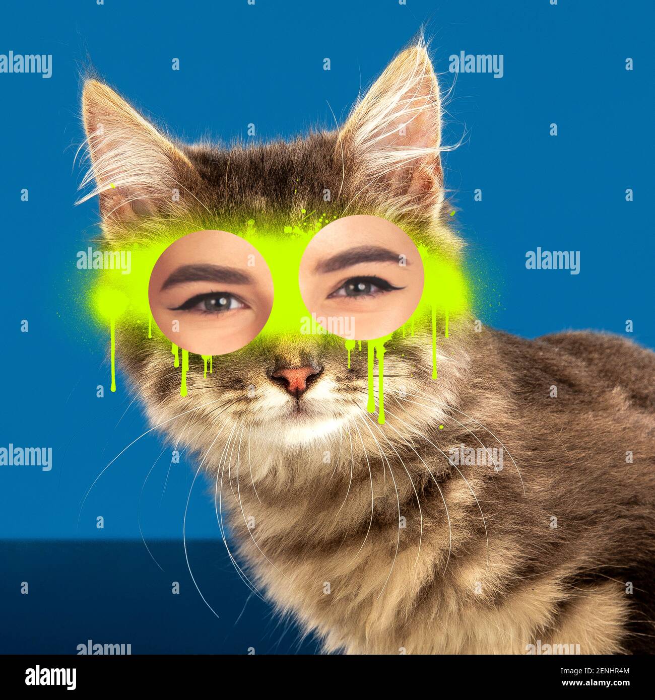 Arte contemporanea collage concetto. Ritratto di gatto con gli occhi umani, stile di graffità. Concetto di design moderno, surrealismo, divertimento, creatività, ispirazione. Montaggio immagine divertente. Foto Stock