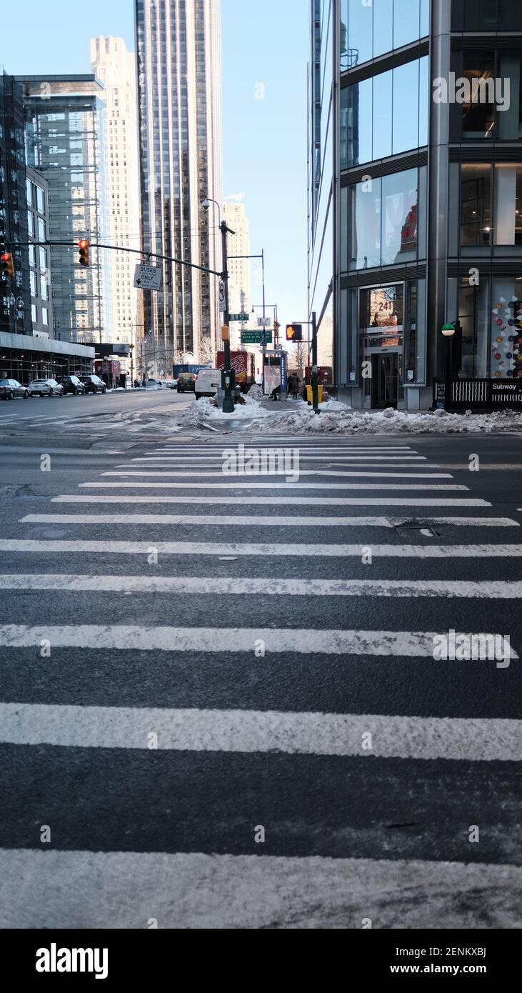 La zebra che attraversa una delle strade di New York. I grattacieli sono visibili sullo sfondo. Foto Stock
