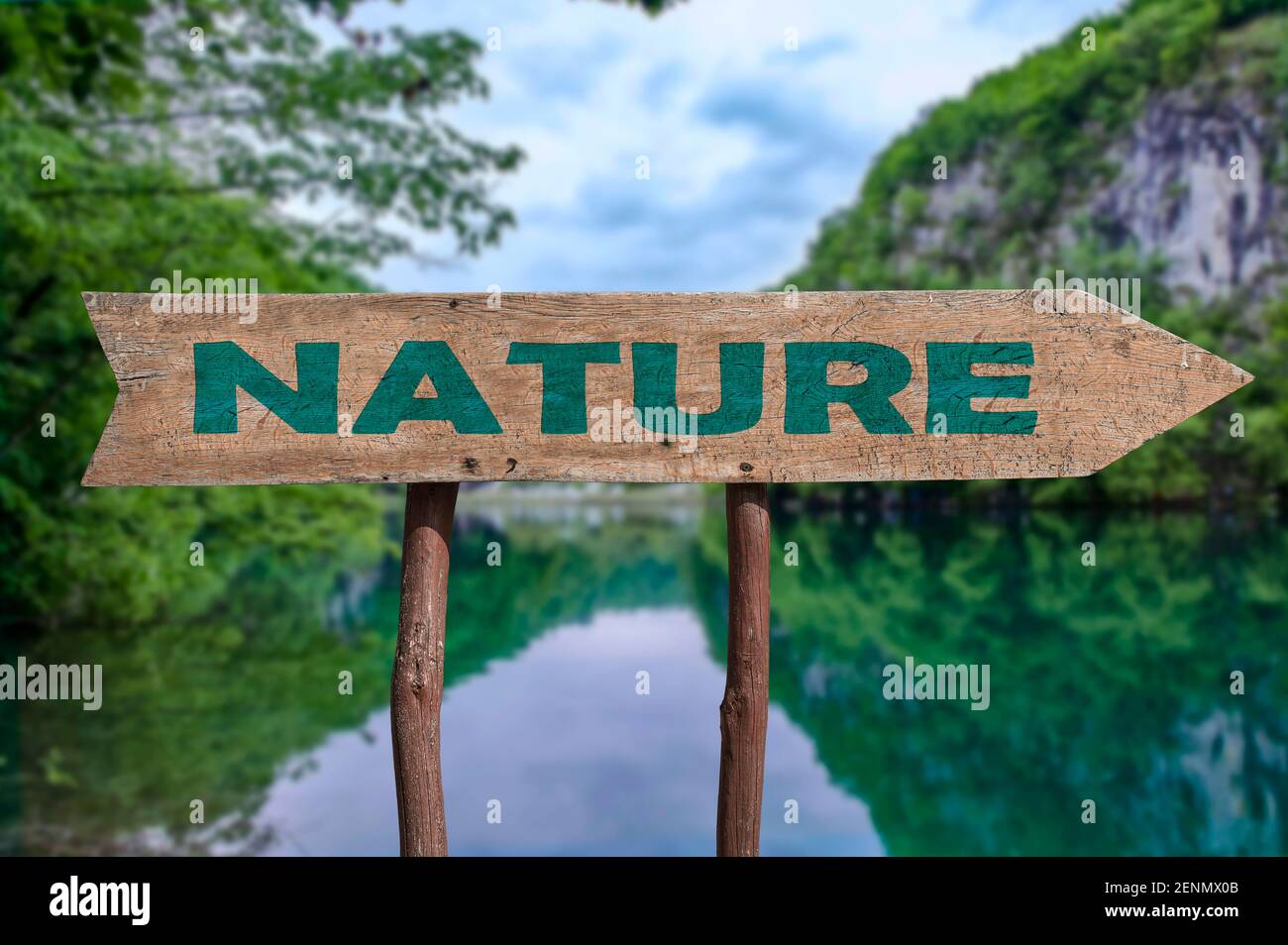 Natura freccia in legno segno strada contro il lago e sfondo della foresta. Foto Stock