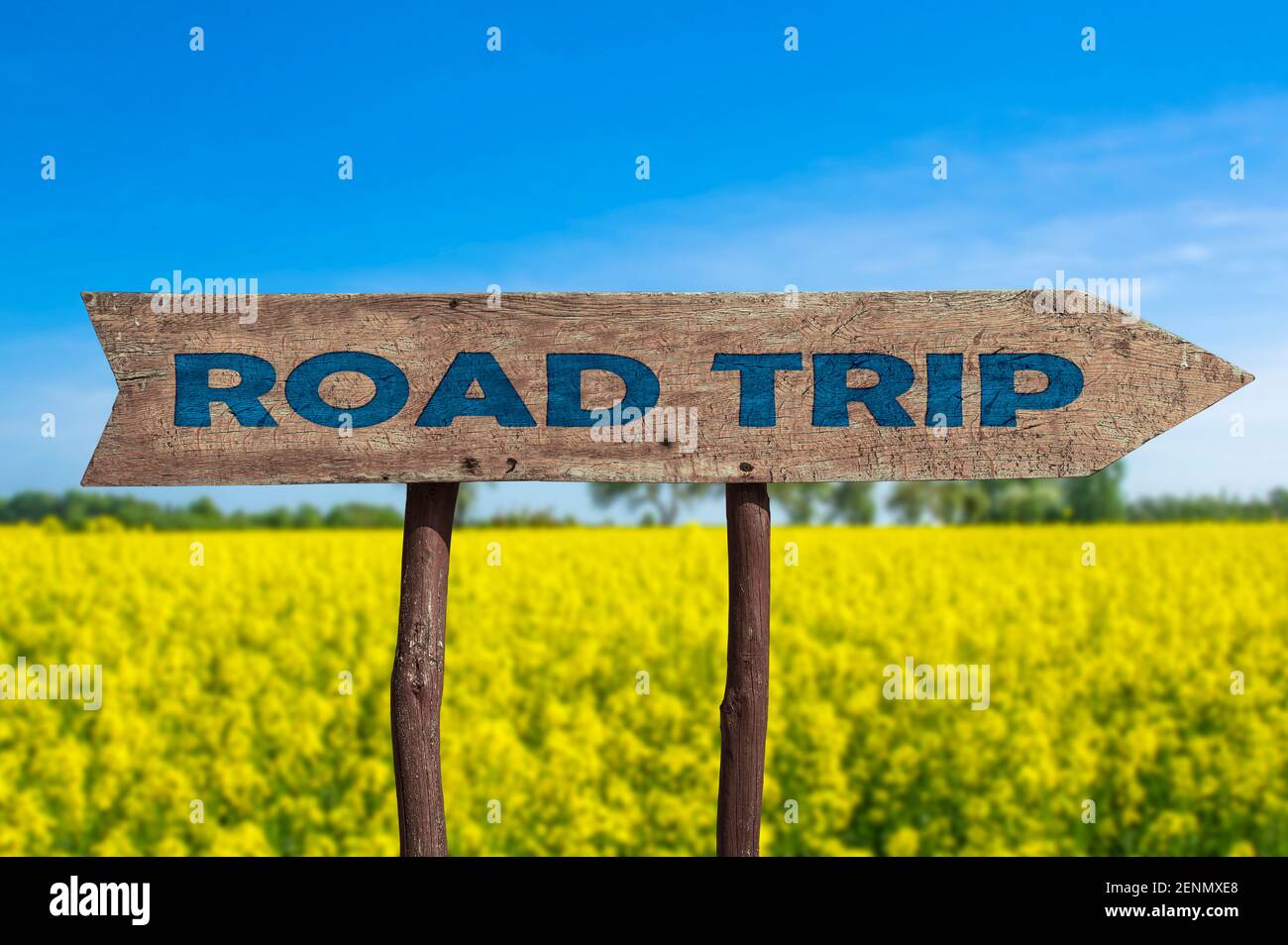 Strada viaggio freccia di legno segno strada contro il campo giallo e. cielo blu Foto Stock