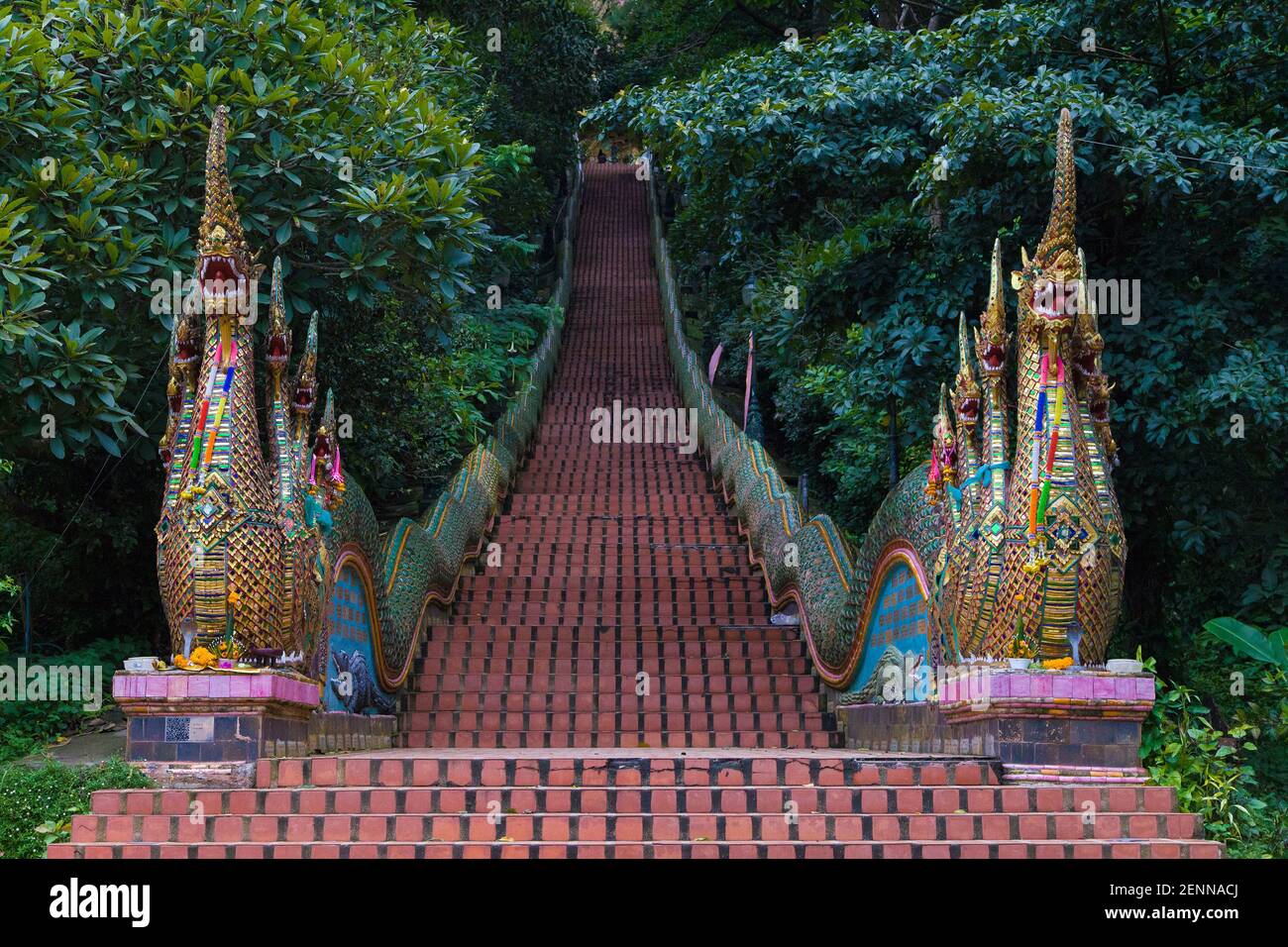 La scalinata del Drago per Wat Phra That Doi Suthep a Chiang mai, Thailandia. Foto Stock