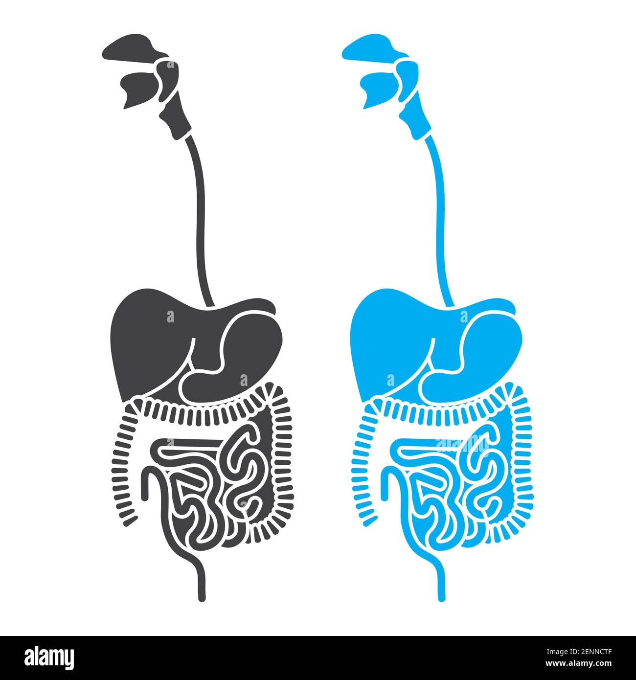 Icona vettoriale piatta dell'anatomia umana per applicazioni e siti Web Illustrazione Vettoriale