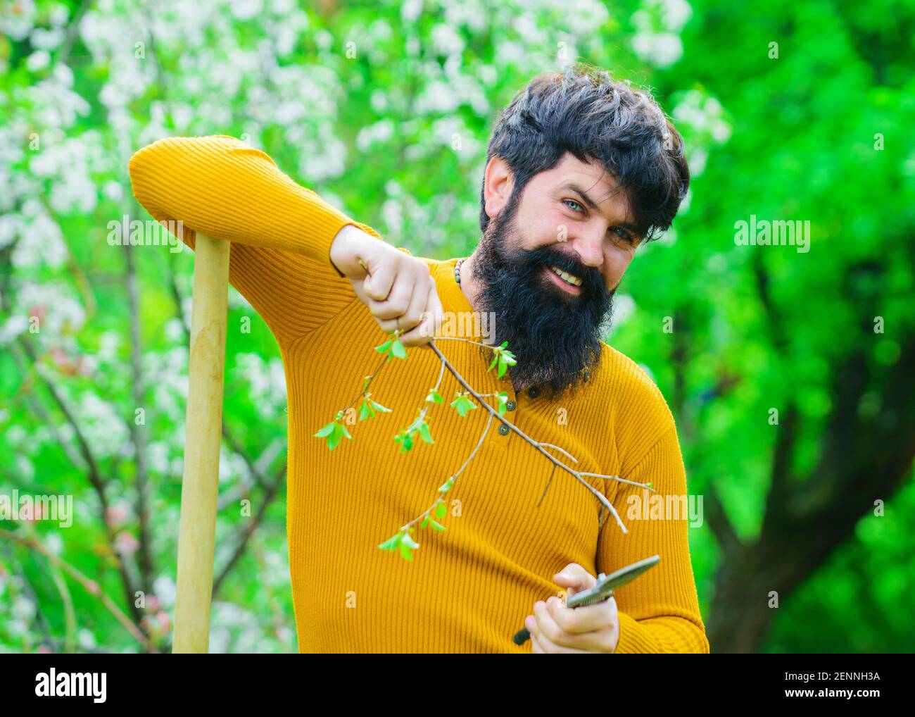 Molla. Coltivatore con secateurs da giardino. Uomo potatura ramo con forbici. Foto Stock