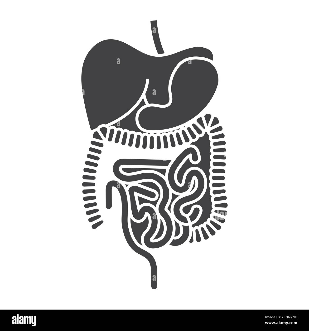 Organi del sistema digestivo umano icona vettore piatto per le applicazioni e. siti web Illustrazione Vettoriale