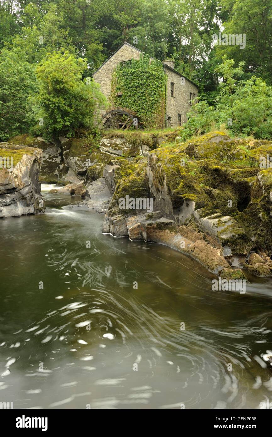 Un vecchio mulino con il fiume Teifi che scorre sotto di esso a Cenarth, Carmarthenshire, Galles. Foto Stock