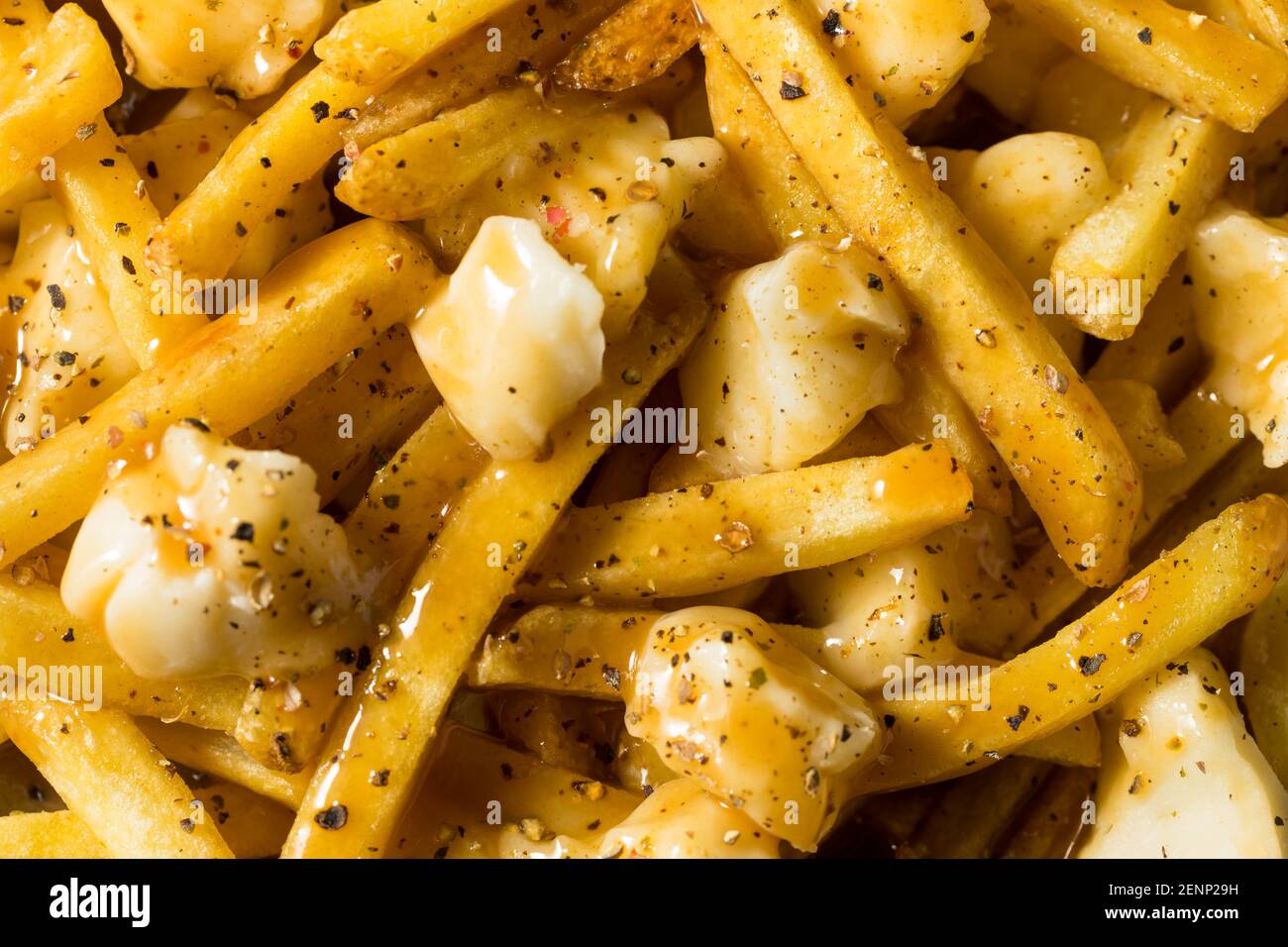 Casereccio malsano Canadese Poutine French Fries con sugo e formaggio Caglidi Foto Stock