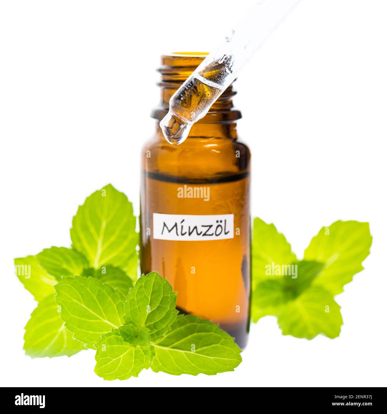 Olio di menta con contagocce isolato su fondo bianco Foto Stock