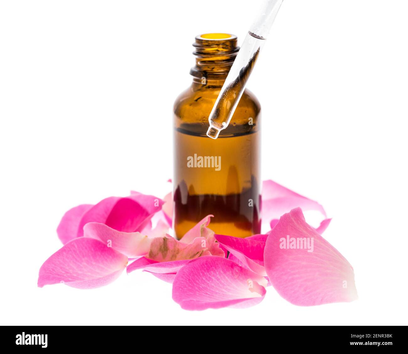 Fiala di olio di rosa con petali di rosa e pipetta isolata su sfondo bianco Foto Stock
