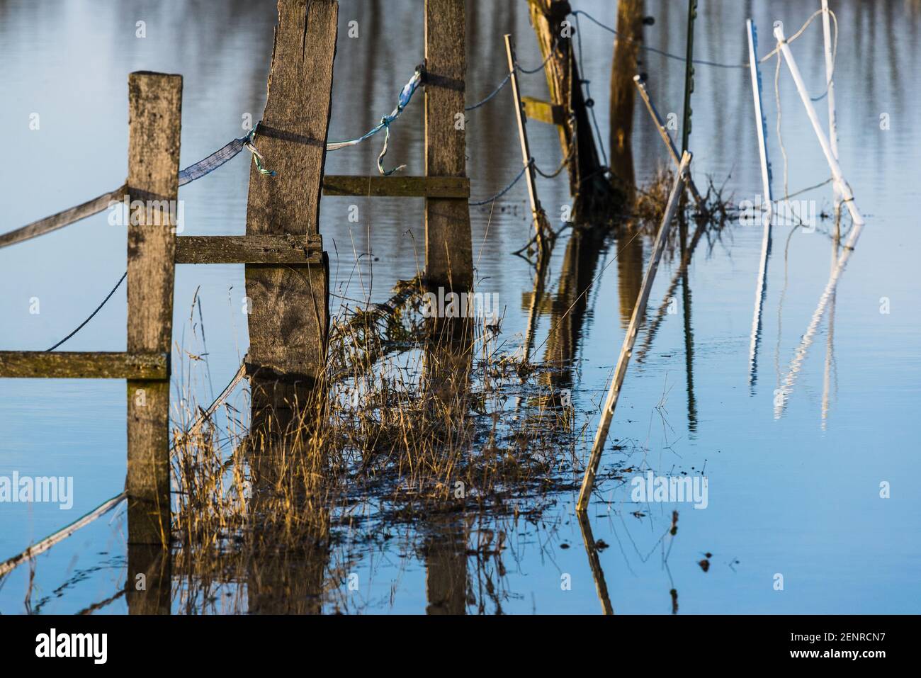 prato allagato, recinzione è in acqua Foto Stock