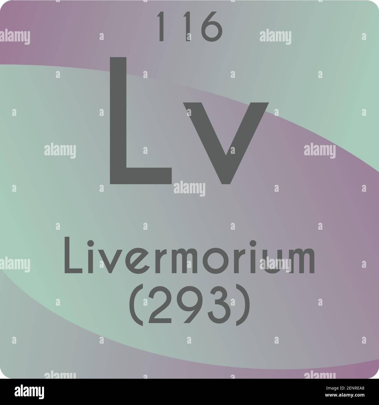 LV Livermorium diagramma di illustrazione vettoriale degli elementi chimici, con numero atomico e massa. Design piatto a gradiente semplice per l'istruzione, il laboratorio e la scienza Illustrazione Vettoriale