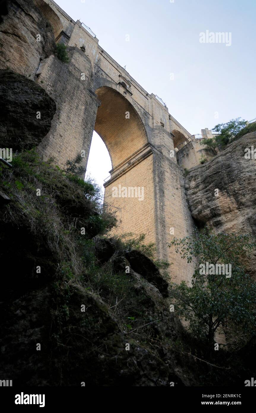 Puente Nuevo dalla Gola di El Tajo, Ronda, Málaga, Andalusia, Spagna Foto Stock