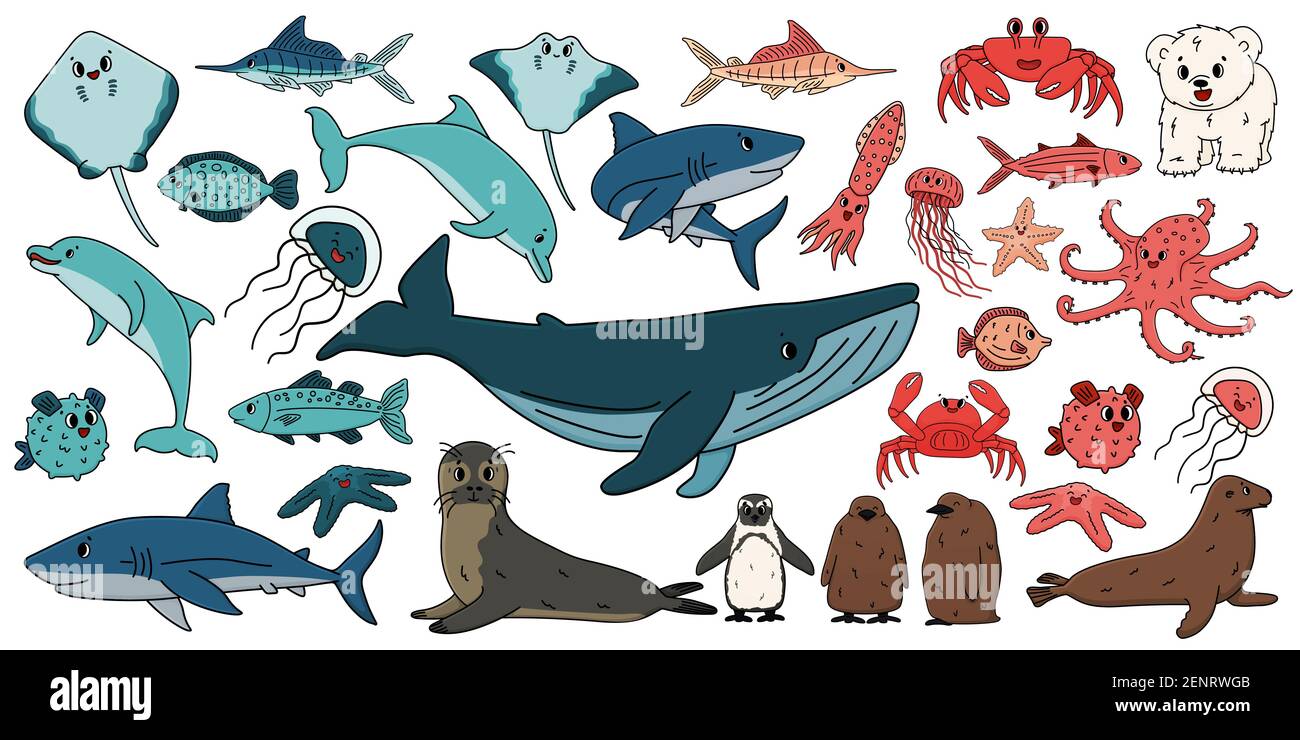 Grande insieme di cartoni animati vettoriali contorno mare isolato oceano nord animali. Doodle balena, delfino, squalo, stingray, meduse, Pesce, stelle, granchio, re pinguino Illustrazione Vettoriale