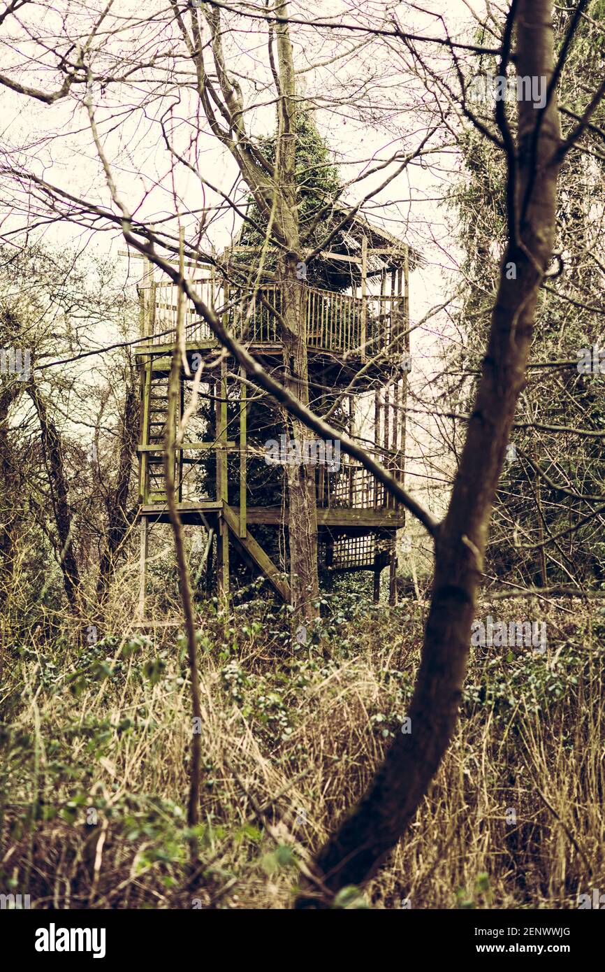 Casa di albero gigante incompiuta, Newbourne Suffolk, Regno Unito Foto Stock