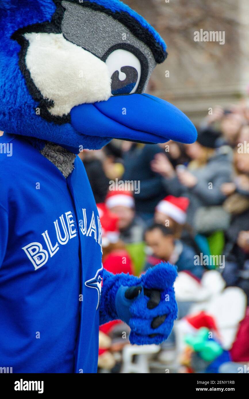 Mascotte della squadra di baseball Blue Jays in occasione della 109a edizione della Parata di Babbo Natale. Più di mezzo milione di persone partecipano alla parata ogni Foto Stock