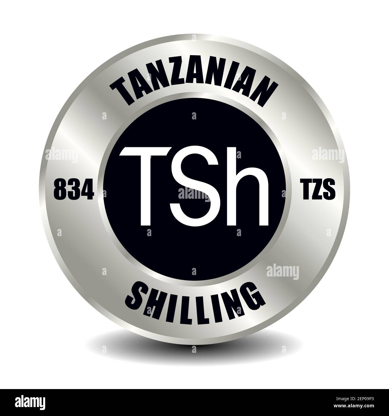Tanzania moneta icona isolato su moneta rotonda d'argento. Simbolo vettoriale della valuta con codice ISO internazionale e abbreviazione Illustrazione Vettoriale