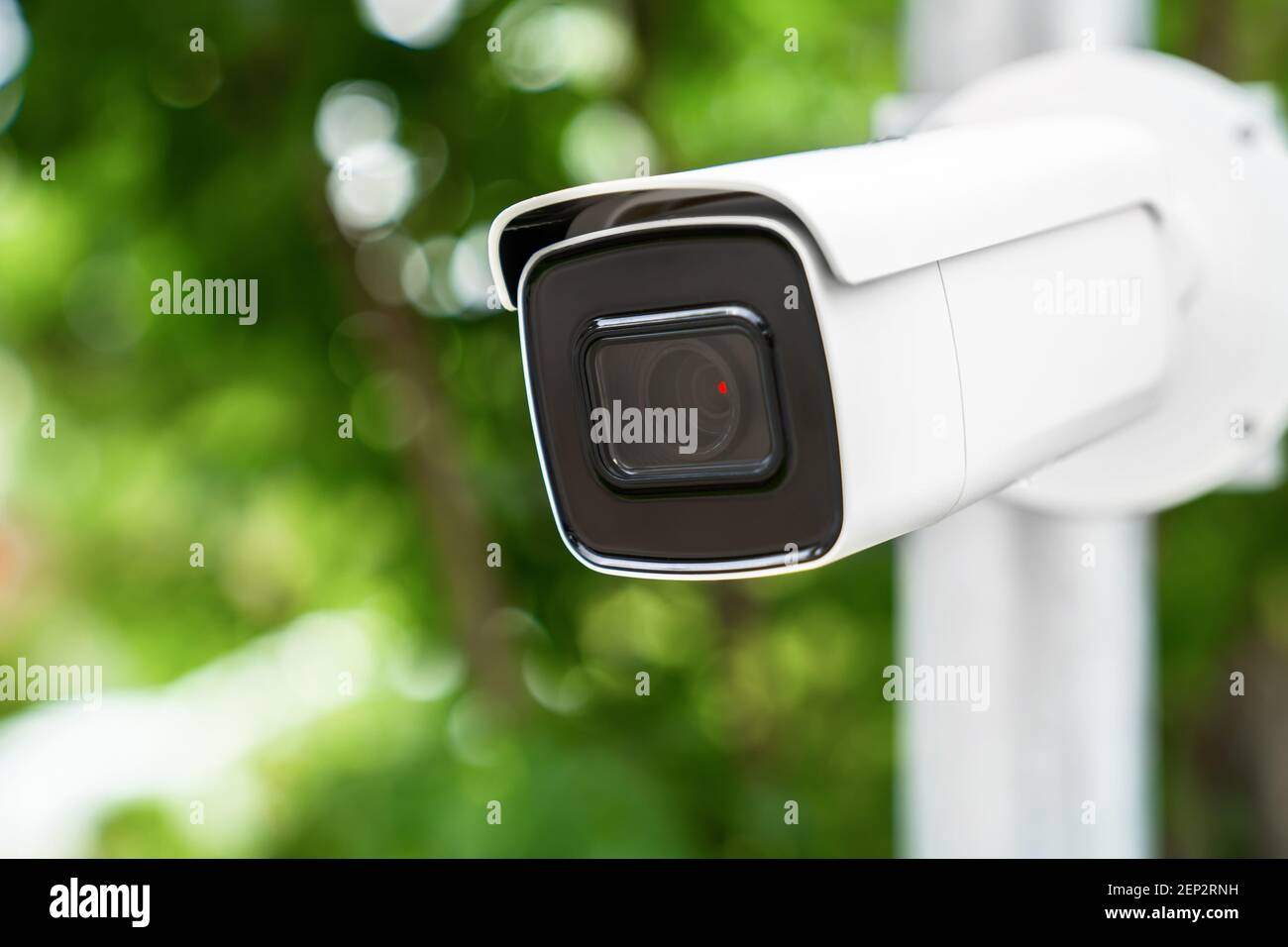 La telecamera CCTV è installata in giardino con sfondo verde sfocato per il controllo del monitor e del sistema di sicurezza intorno a quella zona. Foto Stock