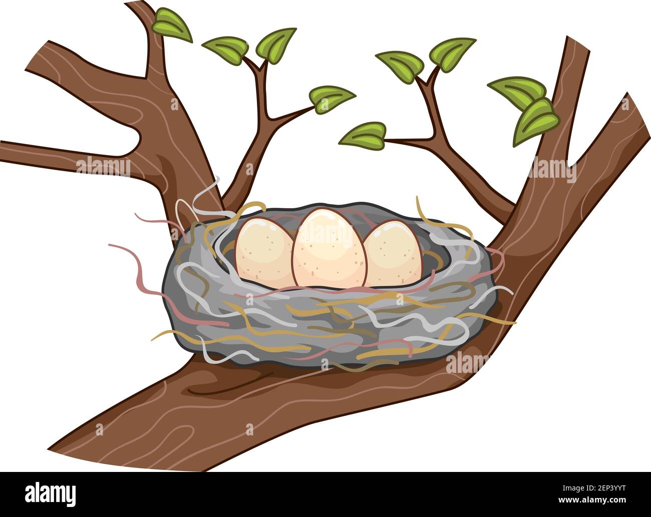 Illustrazione delle uova su Nest dei capelli in fra i rami di Un albero Foto Stock