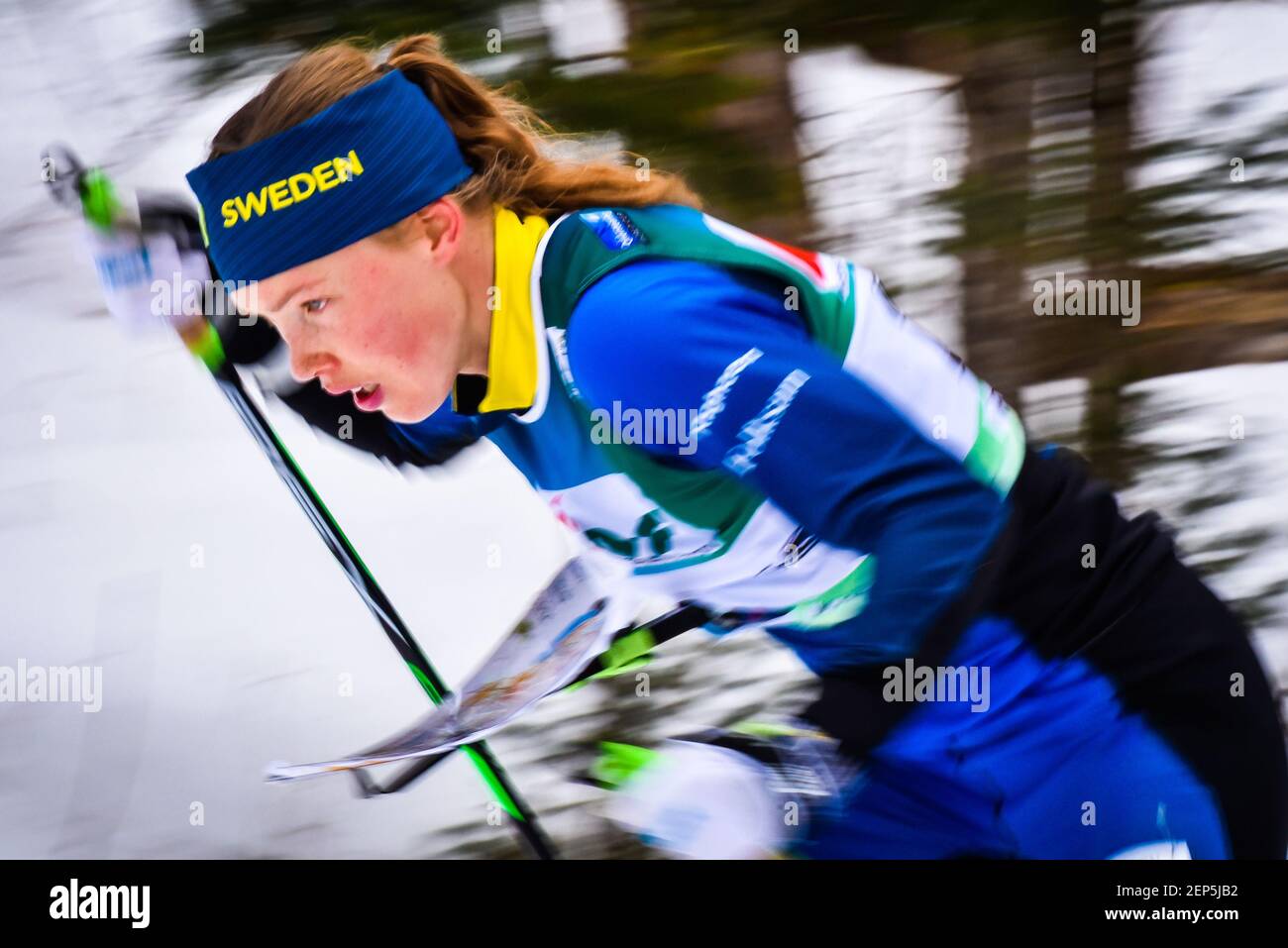 Tove Alexandersson, la squadra svedese di orientamento dello sci, la gara di Coppa del mondo di orientamento dello sci, Craftsbury Outdoor Center, VT, USA. Foto Stock