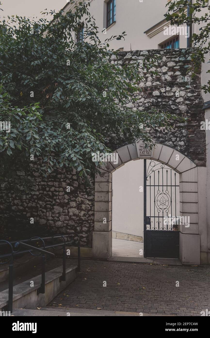 Porta ad arco in ferro in un vecchio muro di pietra con edera Foto Stock
