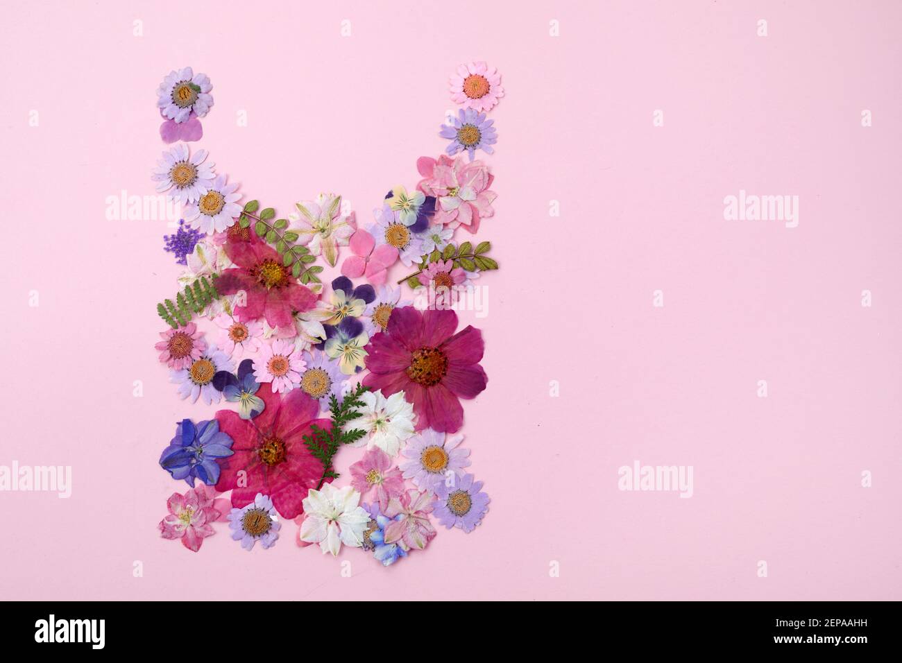 Vendita primaverile con fiori colorati su sfondo rosa. Disposizione piatta, vista dall'alto. Foto Stock