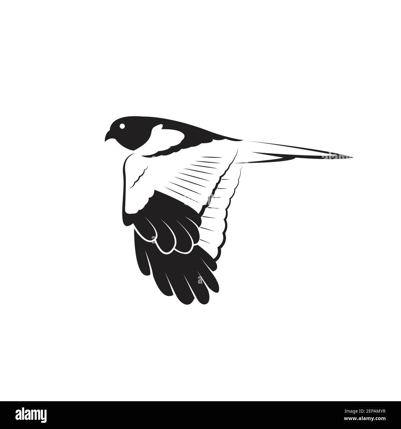 Vettore di Pied Harrier uccello disegno isolato su sfondo bianco. Illustrazione vettoriale a livelli facilmente modificabile. Animali selvatici. Illustrazione Vettoriale