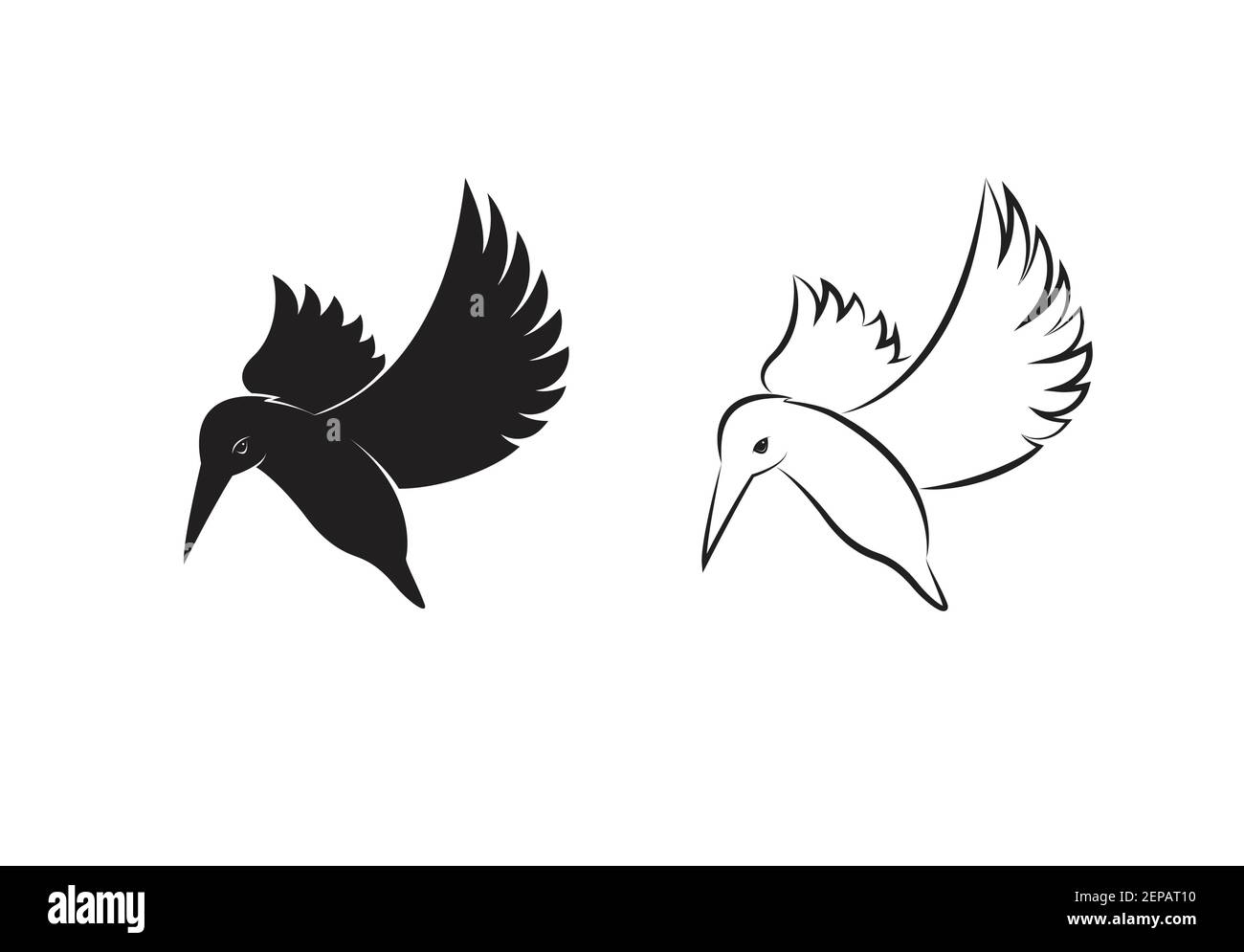 Vettore di kingfishers uccello disegno isolato su sfondo bianco. Illustrazione vettoriale a livelli facilmente modificabile. Animali selvatici. Illustrazione Vettoriale
